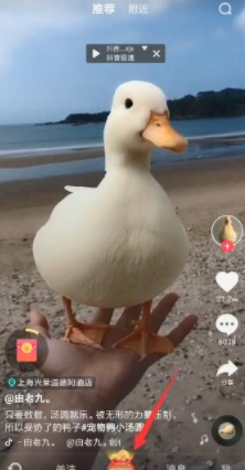 抖音極速版免費下載