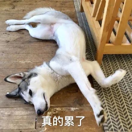 mac自帶視頻剪輯軟件_macpro視頻剪輯軟件_mac自帶視頻剪輯軟件叫什么