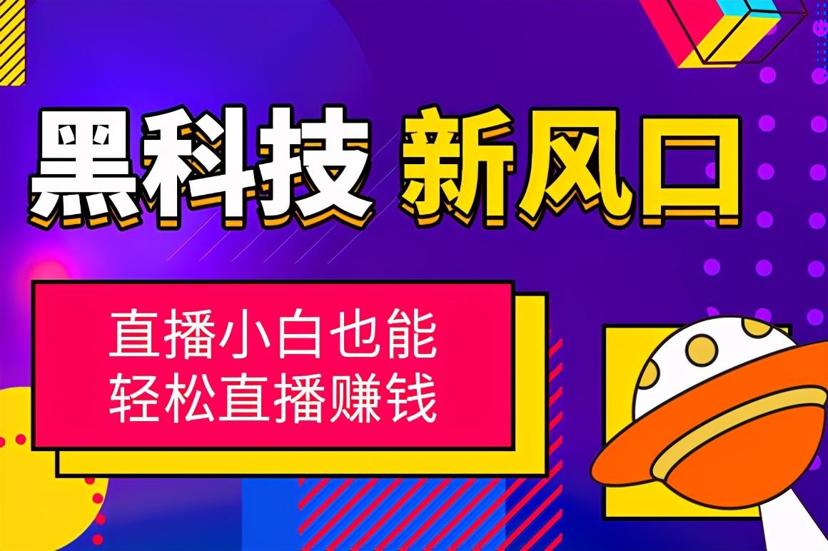 無人直播手機插件-24小時都在賺錢