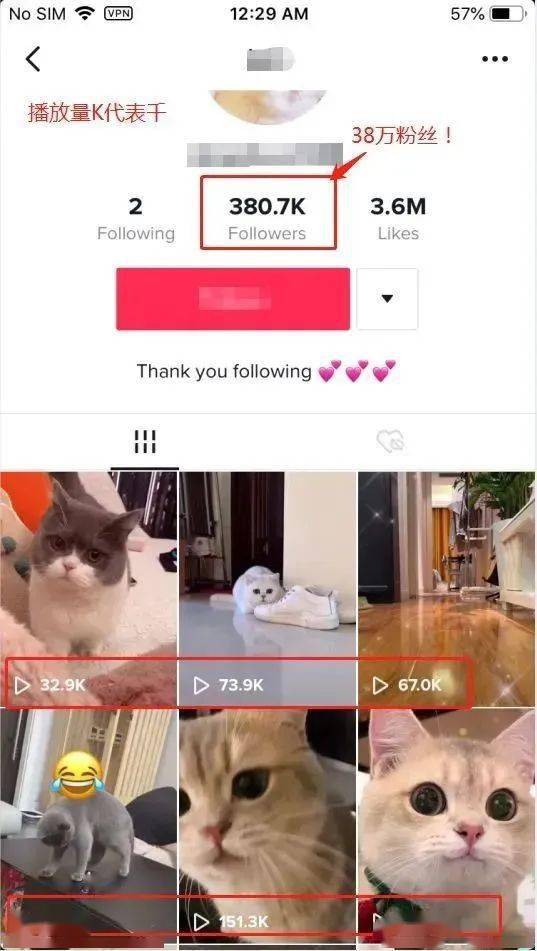 抖音海外版發視頻賺錢_利用抖音海外版賺錢違法嗎_抖音海外短視頻