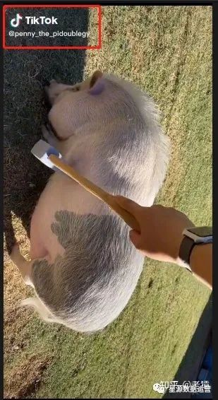 視頻去除水印破解版_視頻去除水印破解版下載_pr視頻如何去除水印