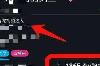 抖音的流量怎么掙錢_抖音賺取流量_玩抖音掙流量錢是怎么玩的