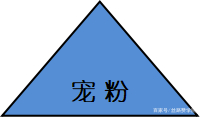抖音怎么投視頻賺錢_抖音發視頻怎么投錢_抖音短視頻投放